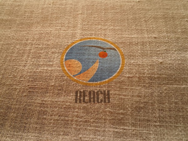 Logo Mockup - Reach
